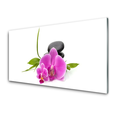 Keuken achterwand glas met print Bloemstenen plant