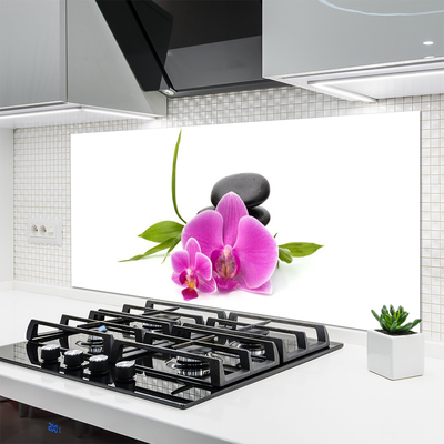 Keuken achterwand glas met print Bloemstenen plant