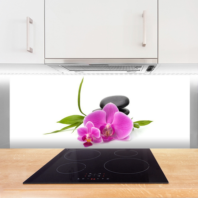 Keuken achterwand glas met print Bloemstenen plant