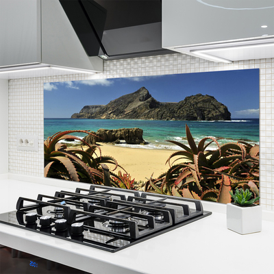 Keuken achterwand glas met print Strand zee rots landschap