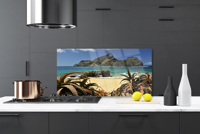 Keuken achterwand glas met print Strand zee rots landschap