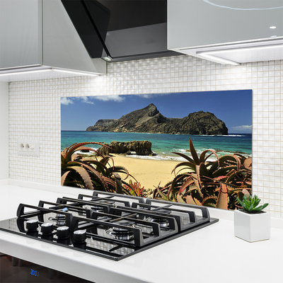 Keuken achterwand glas met print Strand zee rots landschap