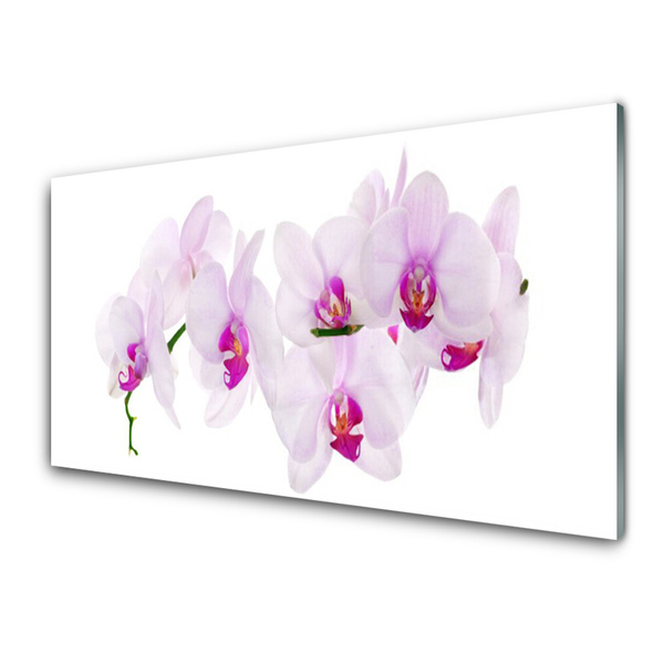 Keuken achterwand glas met print Bloemen plantaardige aard