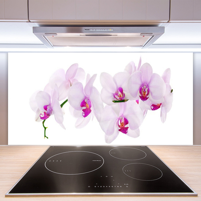 Keuken achterwand glas met print Bloemen plantaardige aard