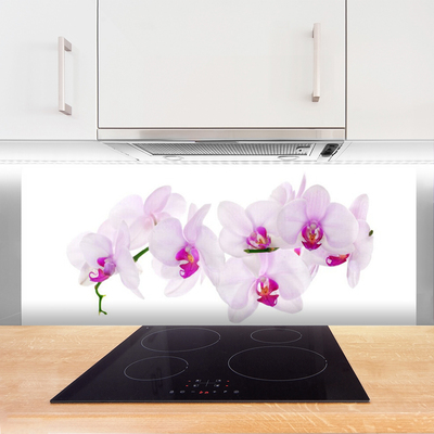 Keuken achterwand glas met print Bloemen plantaardige aard