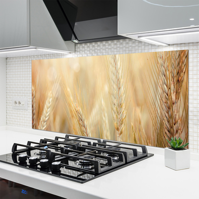 Keuken achterwand glas met print Tarwe plantaard