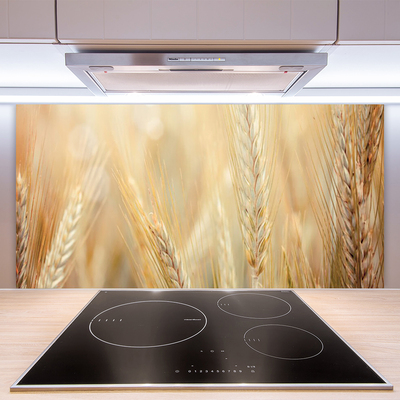 Keuken achterwand glas met print Tarwe plantaard