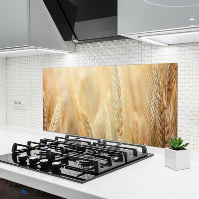 Keuken achterwand glas met print Tarwe plantaard