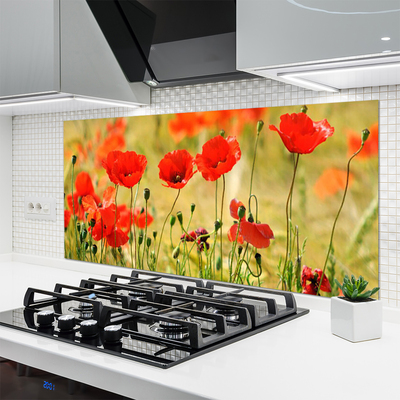 Keuken achterwand glas met print Maki plant nature