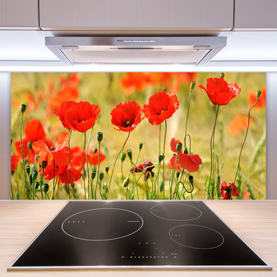 Keuken achterwand glas met print Maki plant nature