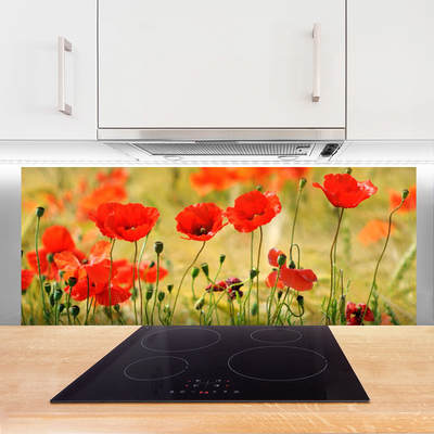 Keuken achterwand glas met print Maki plant nature