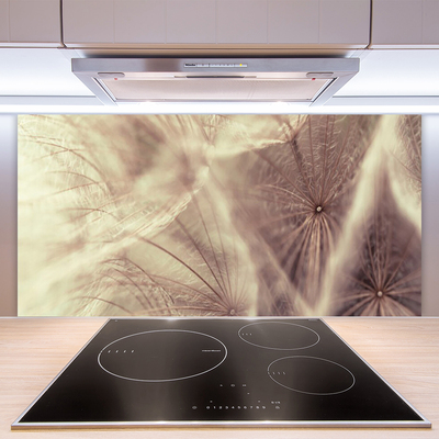 Keuken achterwand glas met print Paardebloemplant