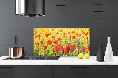 Keuken achterwand glas met print Bloemen plantaardige aard