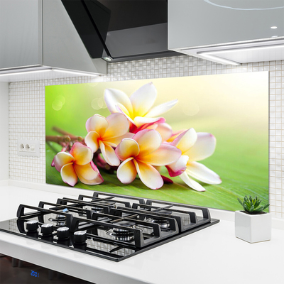 Keuken achterwand glas met print Bloemen plantaardige aard