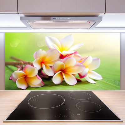 Keuken achterwand glas met print Bloemen plantaardige aard