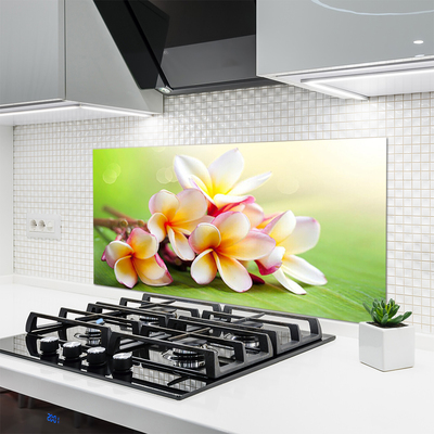 Keuken achterwand glas met print Bloemen plantaardige aard