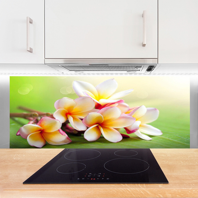 Keuken achterwand glas met print Bloemen plantaardige aard