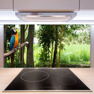 Keuken achterwand glas met print Papegaai boom natuur