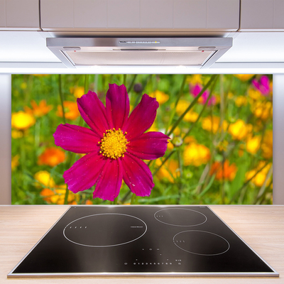 Keuken achterwand glas met print Bloem plantaard