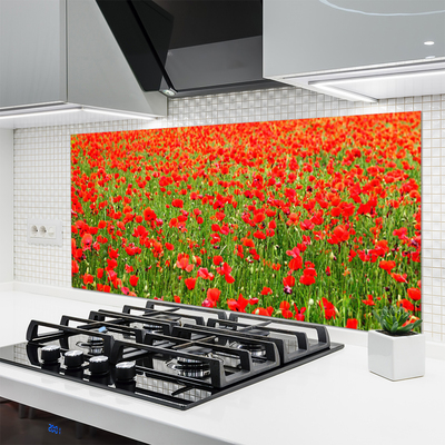 Keuken achterwand glas met print Maki plant nature