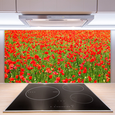 Keuken achterwand glas met print Maki plant nature