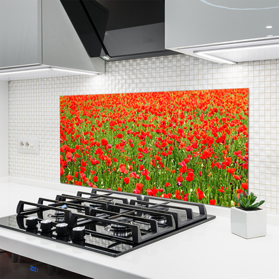 Keuken achterwand glas met print Maki plant nature