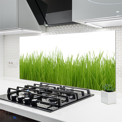 Keuken achterwand glas met print Gras plantaard