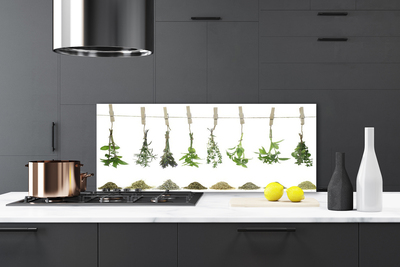 Keuken achterwand glas met print Bloemen plantaardige aard