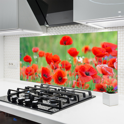 Keuken achterwand glas met print Maki plant nature