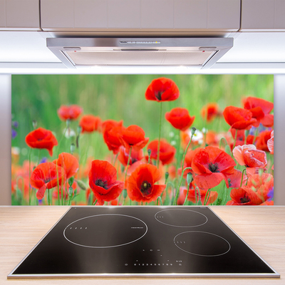 Keuken achterwand glas met print Maki plant nature