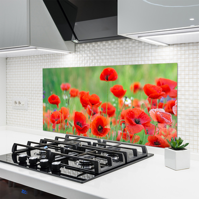 Keuken achterwand glas met print Maki plant nature