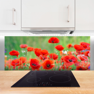 Keuken achterwand glas met print Maki plant nature