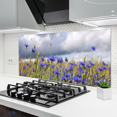 Keuken achterwand glas met print Bloemen plantaardige aard