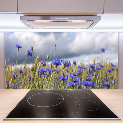 Keuken achterwand glas met print Bloemen plantaardige aard