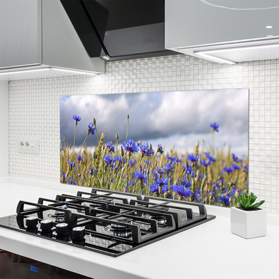 Keuken achterwand glas met print Bloemen plantaardige aard