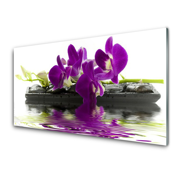 Keuken achterwand glas met print Bloemen plantaardige aard