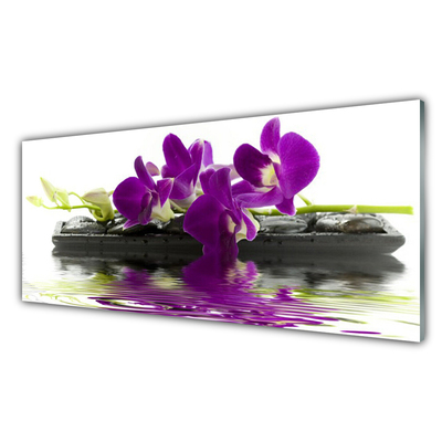 Keuken achterwand glas met print Bloemen plantaardige aard