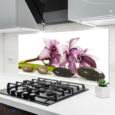 Keuken achterwand glas met print Bloemstenen plant