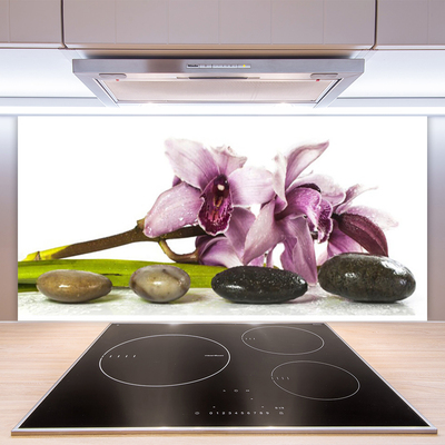 Keuken achterwand glas met print Bloemstenen plant