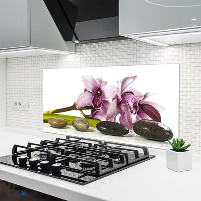 Keuken achterwand glas met print Bloemstenen plant