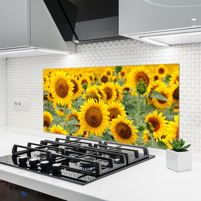 Keuken achterwand glas met print Zonnebloemen plant aard