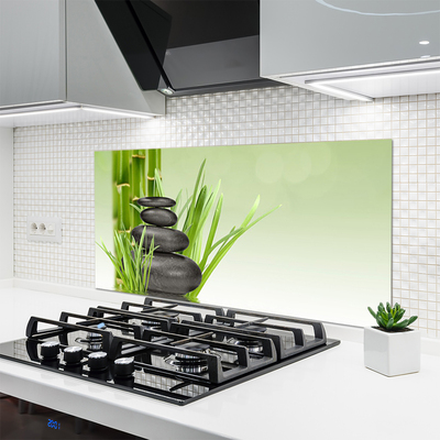 Keuken achterwand glas met print Bamboe gras plantaardige aard