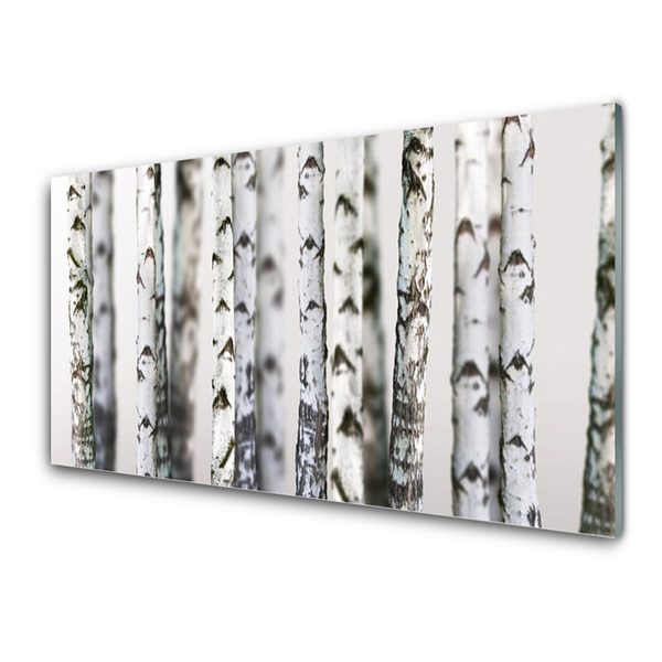 Keuken achterwand glas met print Bomen natuur