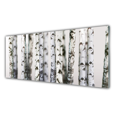 Keuken achterwand glas met print Bomen natuur