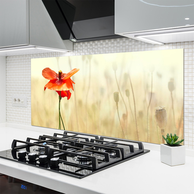 Keuken achterwand glas met print Maki plant nature