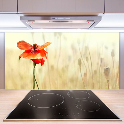 Keuken achterwand glas met print Maki plant nature