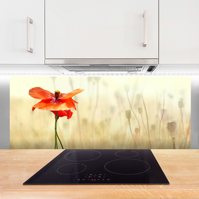 Keuken achterwand glas met print Maki plant nature