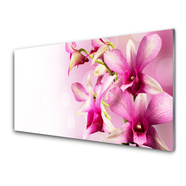 Keuken achterwand glas met print Bloemen plantaardige aard