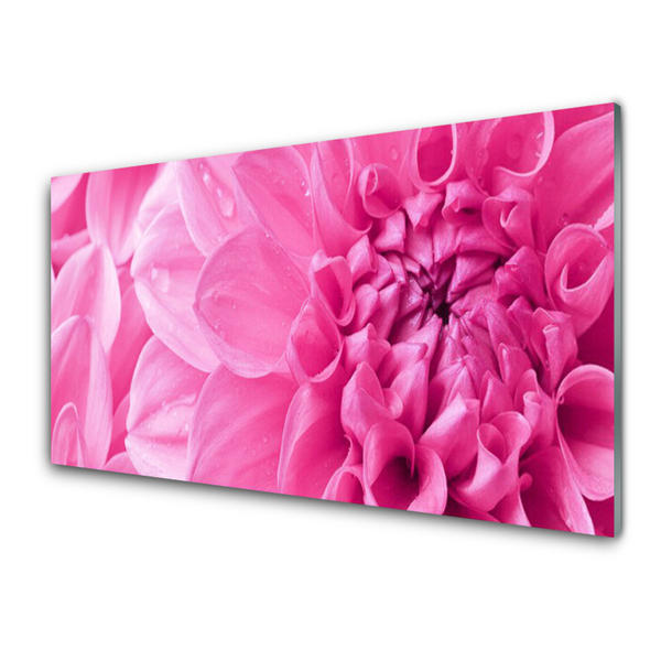 Keuken achterwand glas met print Bloemen plantaardige aard