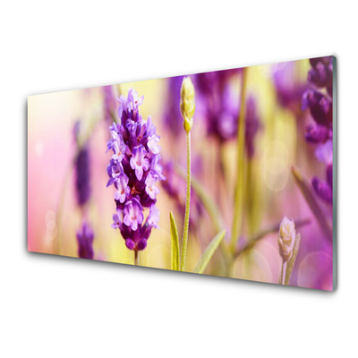 Keuken achterwand glas met print Bloemen plantaardige aard